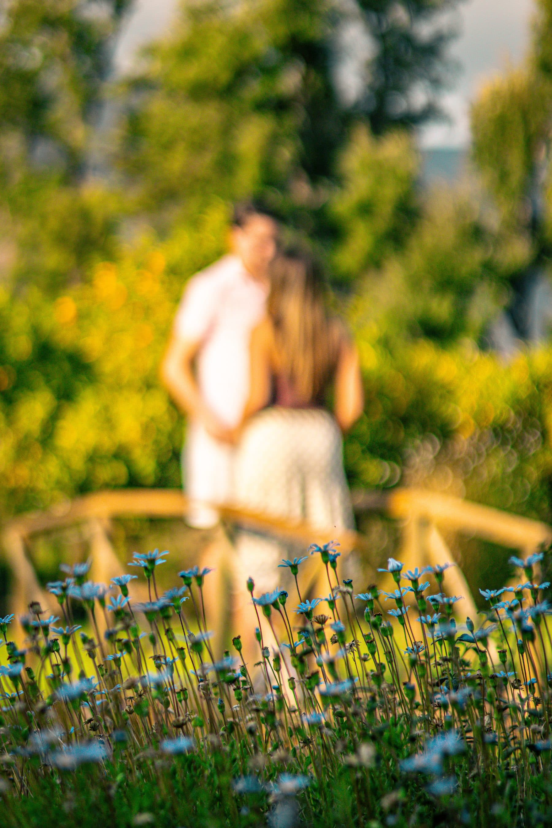 Soft-focus photograph of the couple in a summer garden